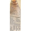 One Degree Organic Spr WholewheatFlour (6x32Oz)