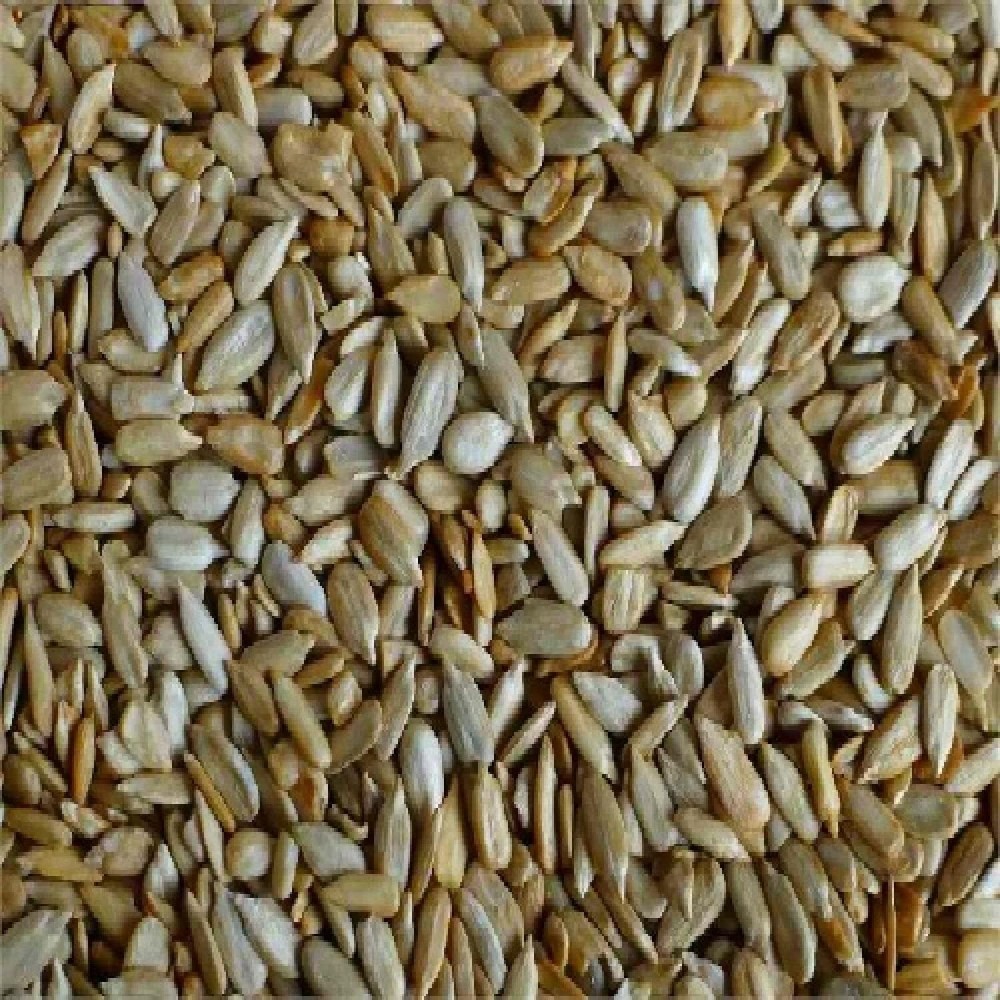 Woodstock Tamari Sunflower Seed (1x15lb)