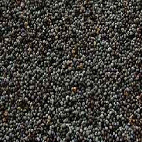 Seeds Poppy Seeds (1x5LB )