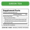 India Green Tulsi Tea (6x18 CT)