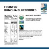 Nature's Path Frosted Blueberry Toaster Pastry (12x11 Oz)